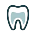 Dental Bonding
